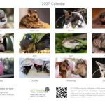 2027 ACT Wildlife Calendar - International Post