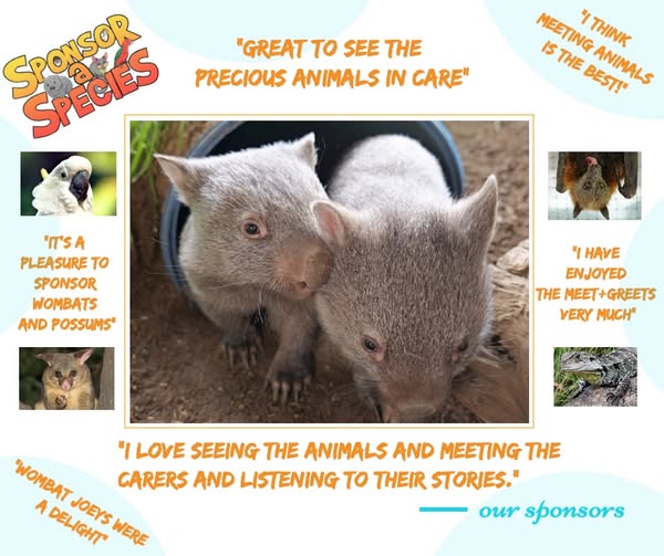 ACT Wildlife Sponsor A Species ad