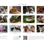 2027 ACT Wildlife Calendar - Local Pickup Only